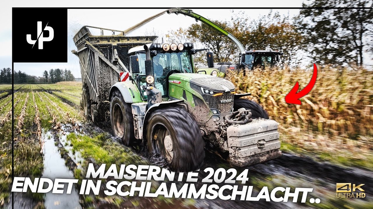 Mais 2024 🌽 Schlammschlacht in Dänemark! || JP Agrar