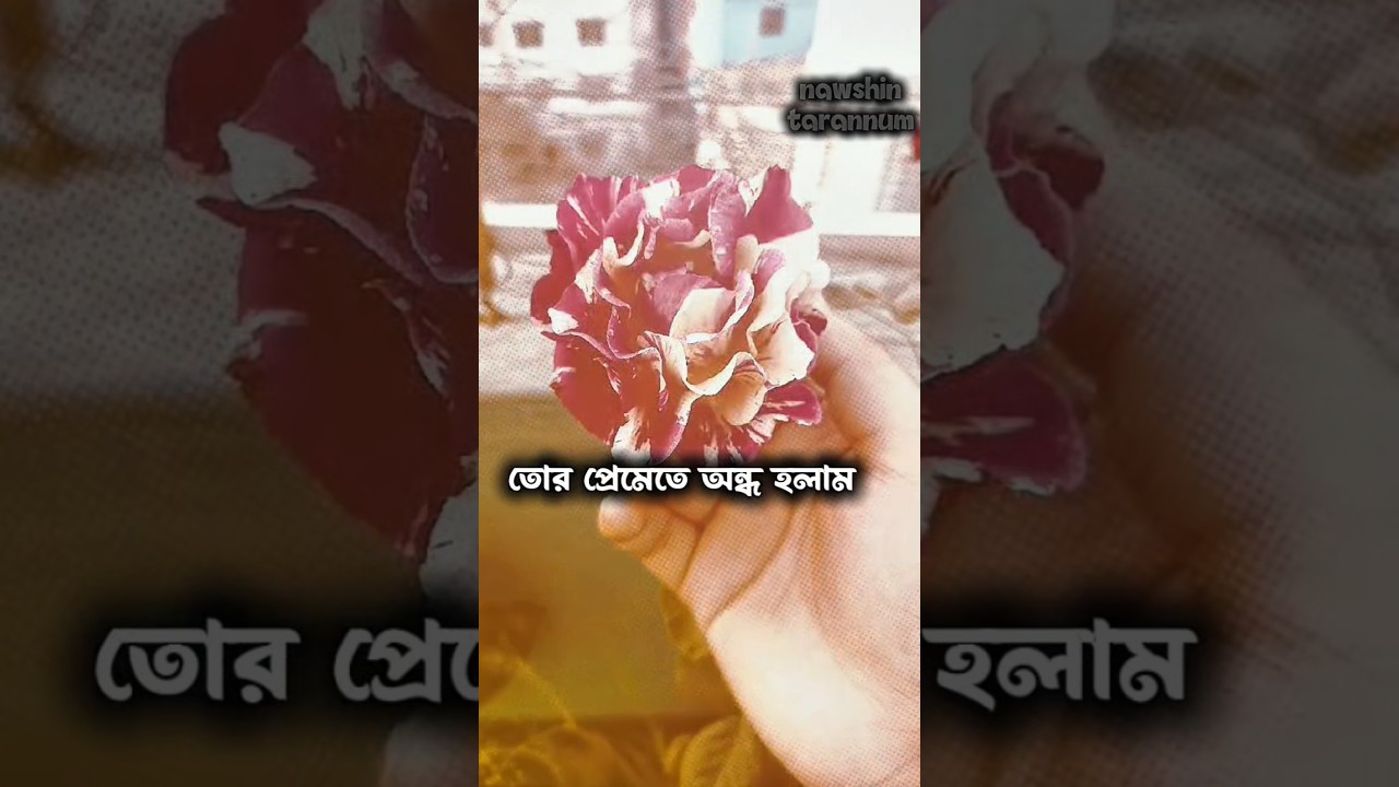 তোর প্রেমেতে অন্ধ হলাম! Tor premete ondho holam...(My edit)🤍 