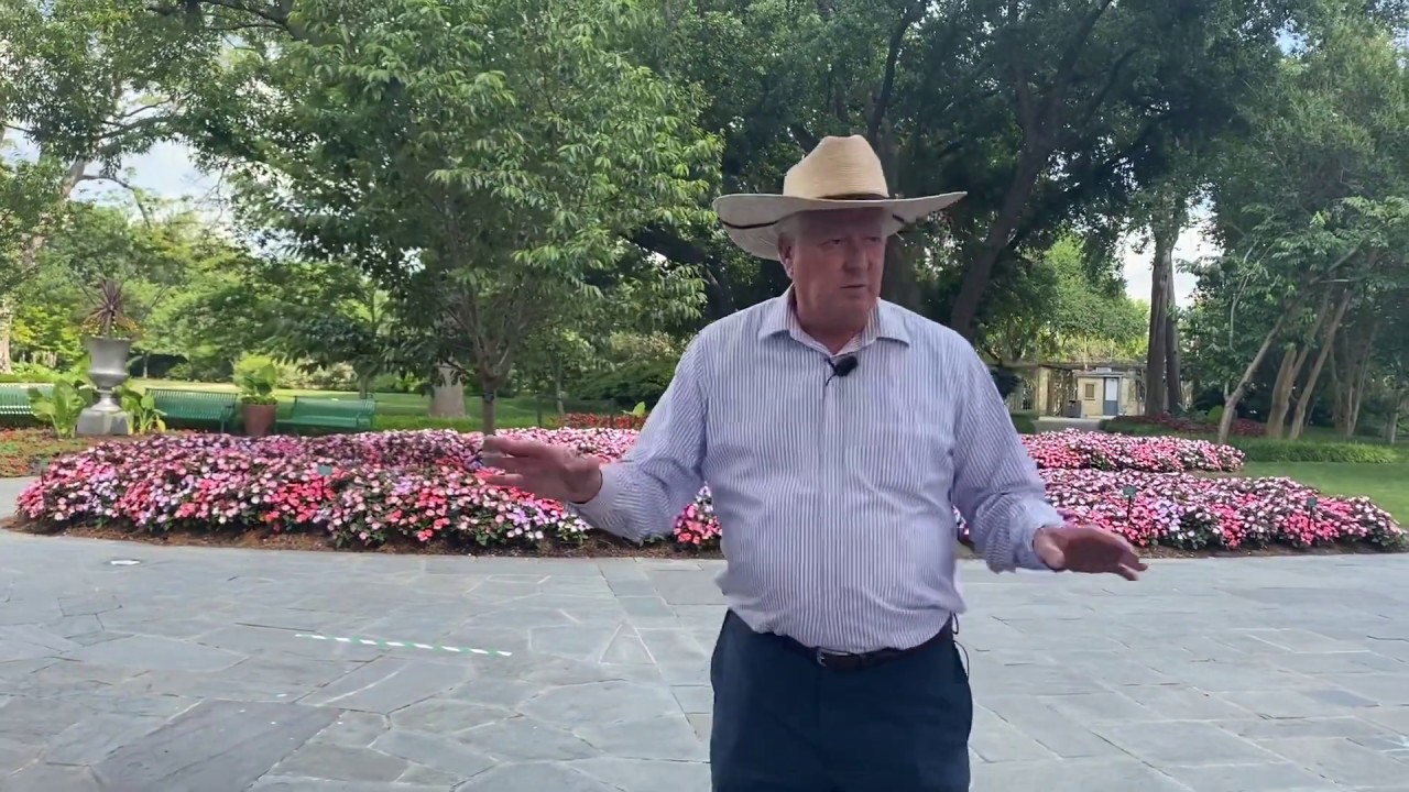 Paseo de Flores Summer Garden Tour