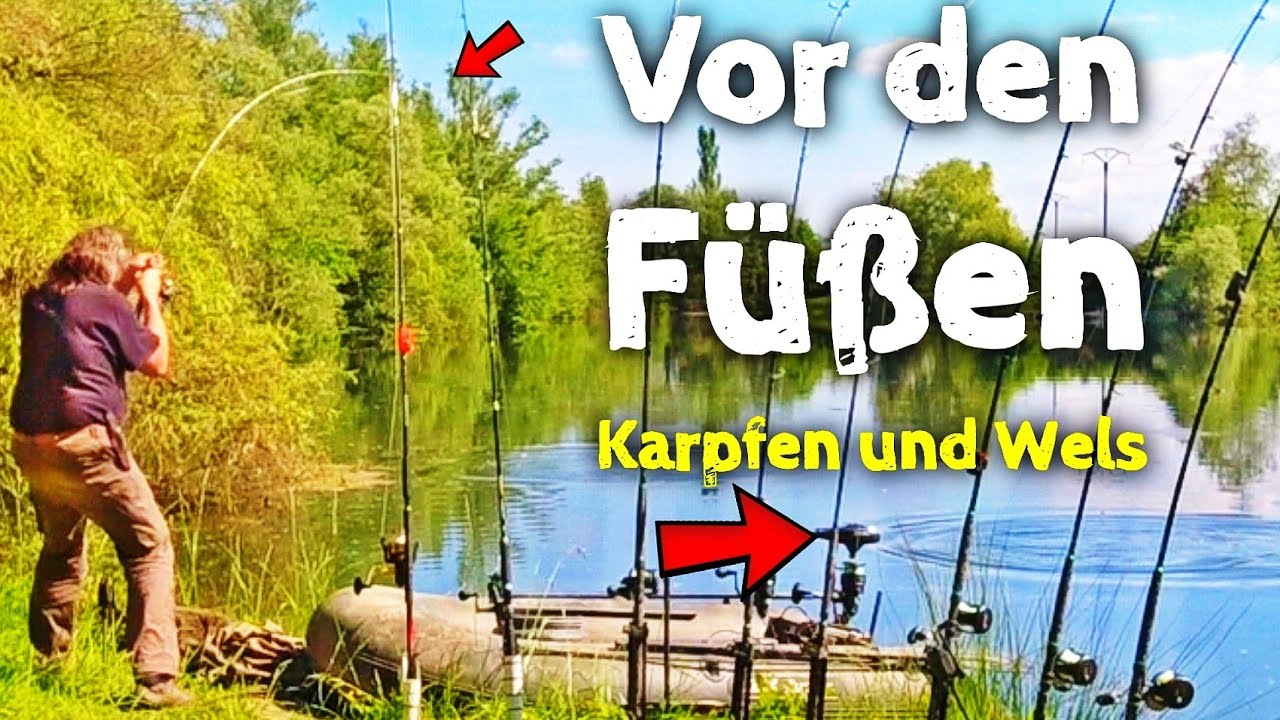 Auf KARPFEN mit Schwimmbrot beim WELSANGELN | LIVEBISS - Waterwolf