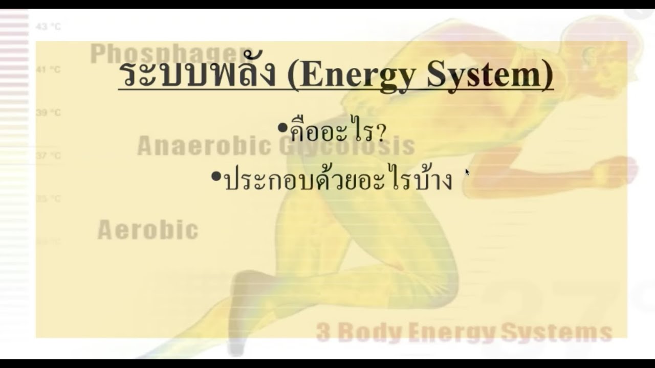 ระบบพลังงาน (Energy System)