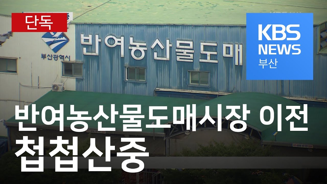 [심층]센텀2지구/반여농산물도매시장 이전 '첩첩산중'