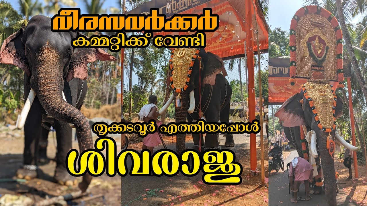 തൃക്കടവൂർ ശിവരാജു പാർക്കടി പൂരത്തിന് 2024 thrikkdavoor sivaraju parkkadi pooram 2024