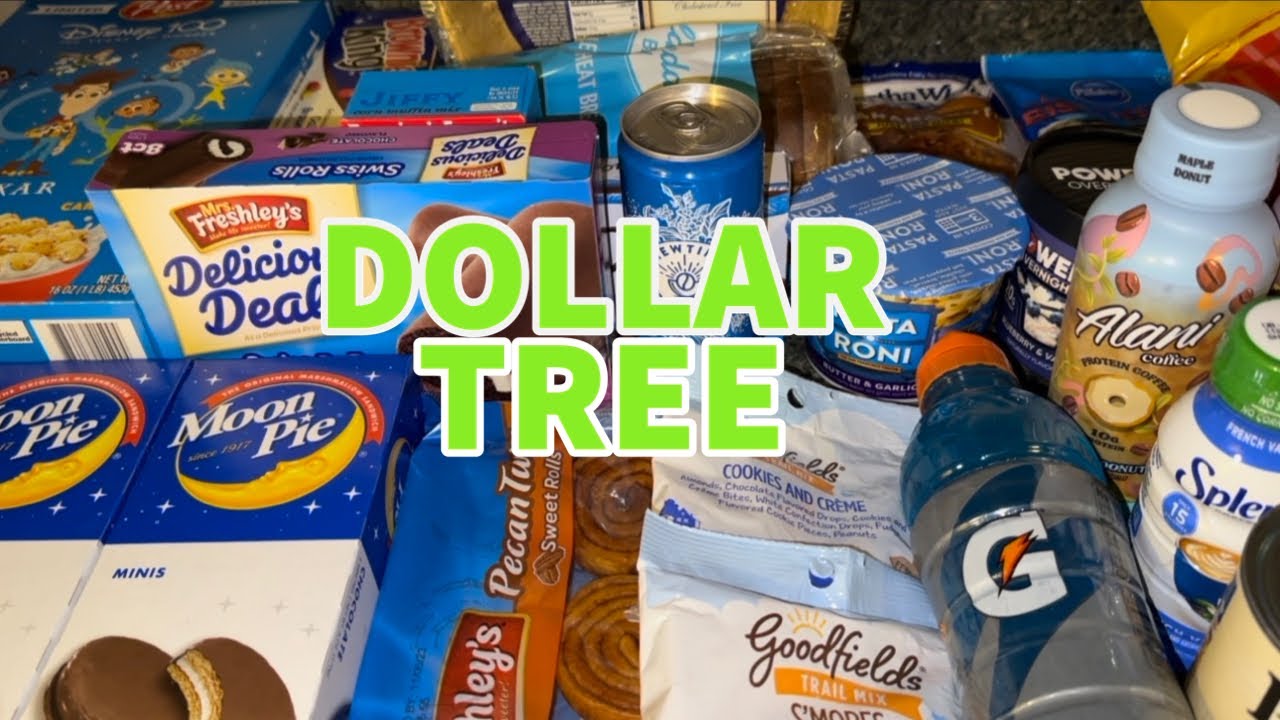 DOLLAR TREE GROCERY SHOP WITH ME | NEW GROCERY FINDS😐| BUDGET FRIENDLY