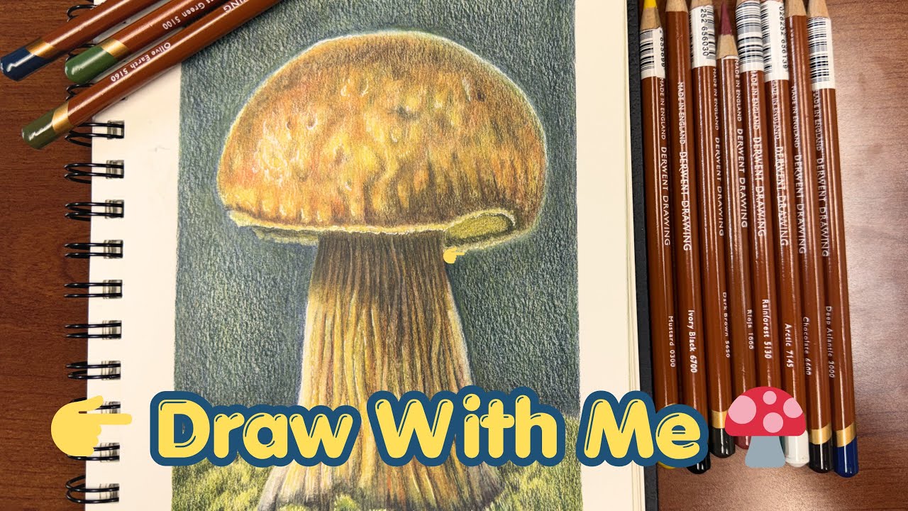 Drawing a mushroom with Derwent Drawing pencils tutorial part 2