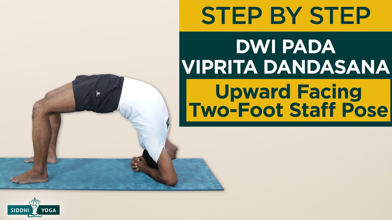 Dwi Pada Viprita Dandasana (Upward Facing Two-Foot Staff Pose) Benefits, How to Do  - Siddhi Yoga