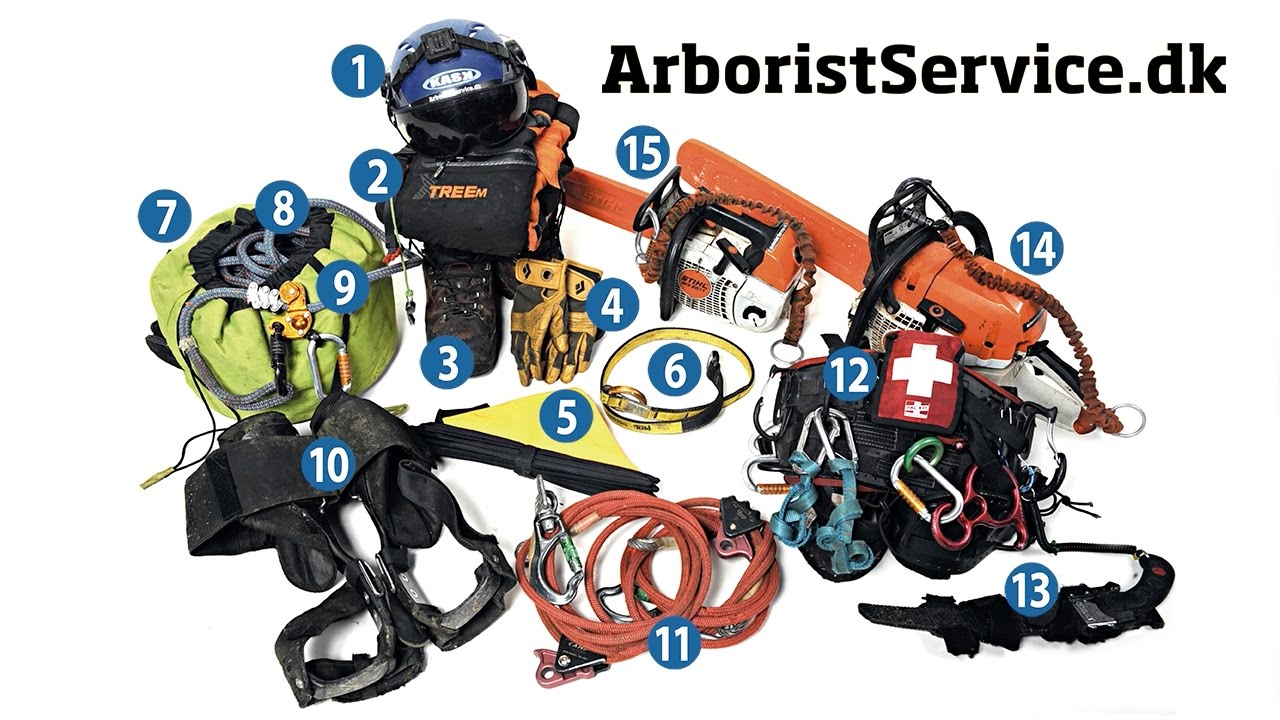 My Minimum Tree Climbing Equipment - Arborist Tree Climbing Gear