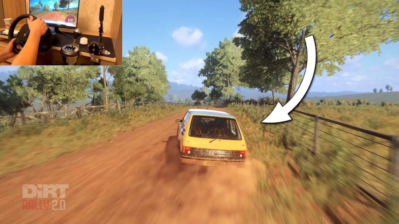 Peugeot 205 GTI - Dirt Rally 2.0 | Thrustmaster T300RS gameplay