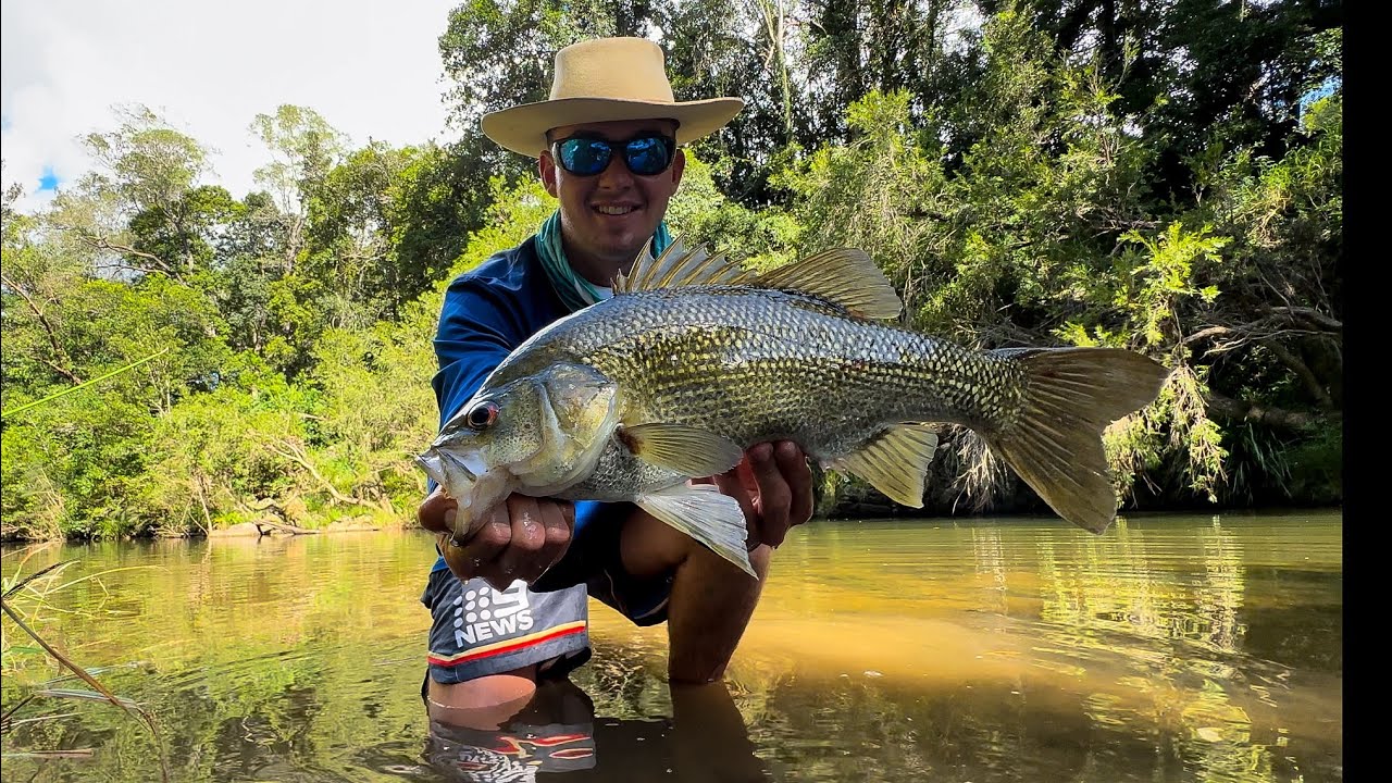 BIG CLEAR WATER SURFACE BASS!! Surface Fishing For Australian Bass (50cm+ Bass)
