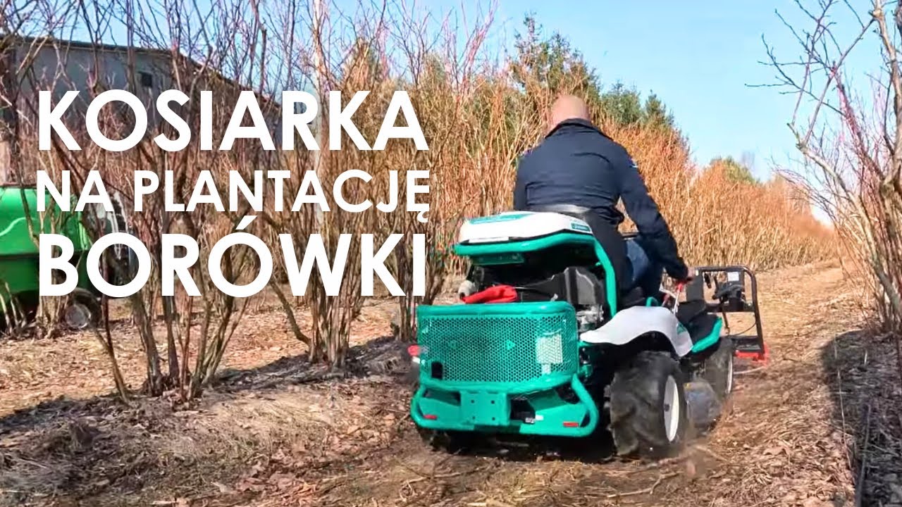 Kosiarka na plantację borówki