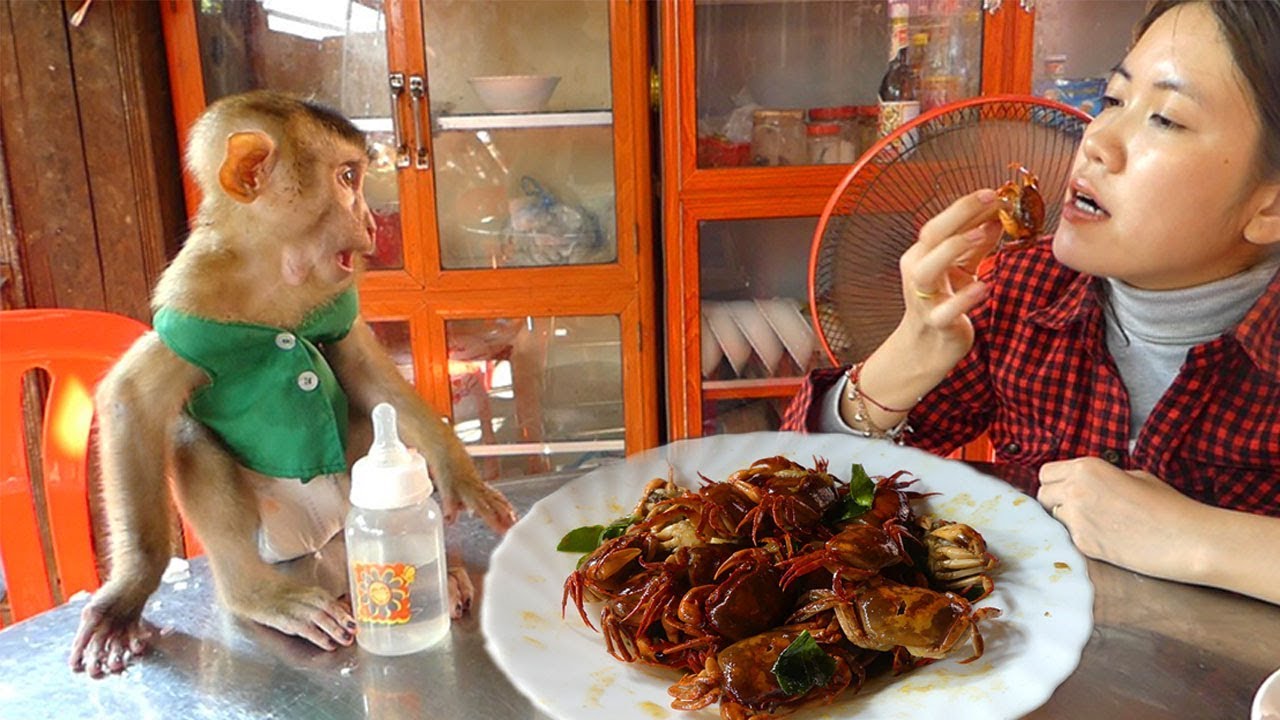 Dodo Feel Hungry Look At Food Likely Delicious He Wanna Eat
