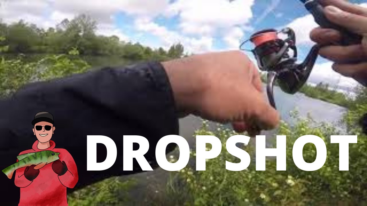La Perche au dropshot en lac