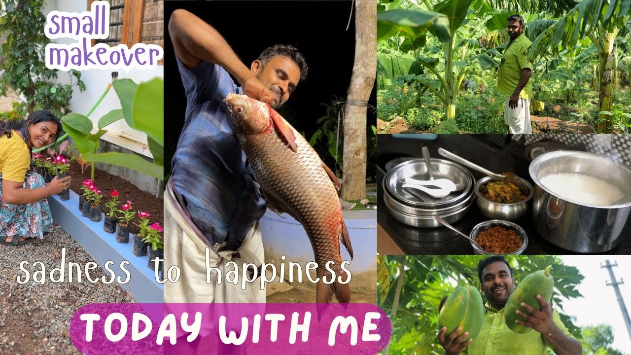 Sad to happy day👹...7kg fish ഭാഗ്യന്റെ മീൻവേട്ടാ🤓🤓DAY IN MY LIFE😝😝GARDEN MAKEOVER