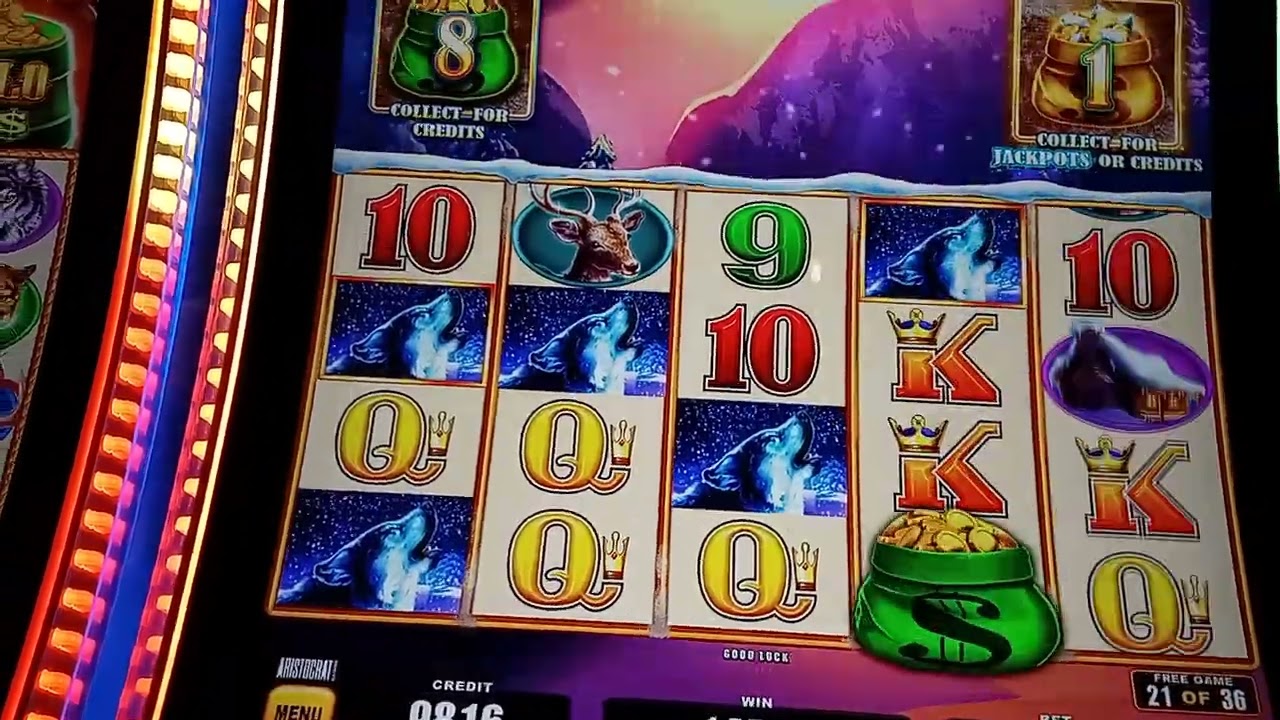 Timber Wolf!!! #doublepop #Jackpot #livestream #support #mrgetacheck1000 #gaming #bigwin 