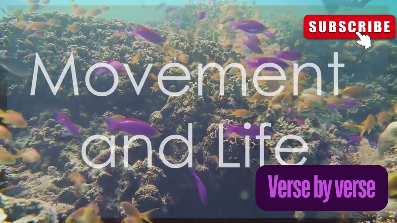 Genesis 1:23 Explained | Evening and Morning - The Fifth Day of Creation