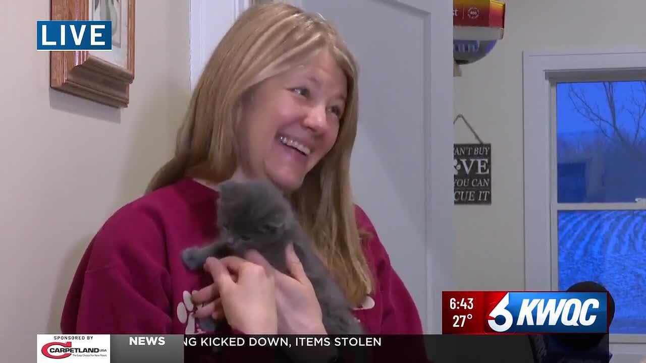 Abandoned kittens find loving foster mom and surrogate cat mother in Davenport