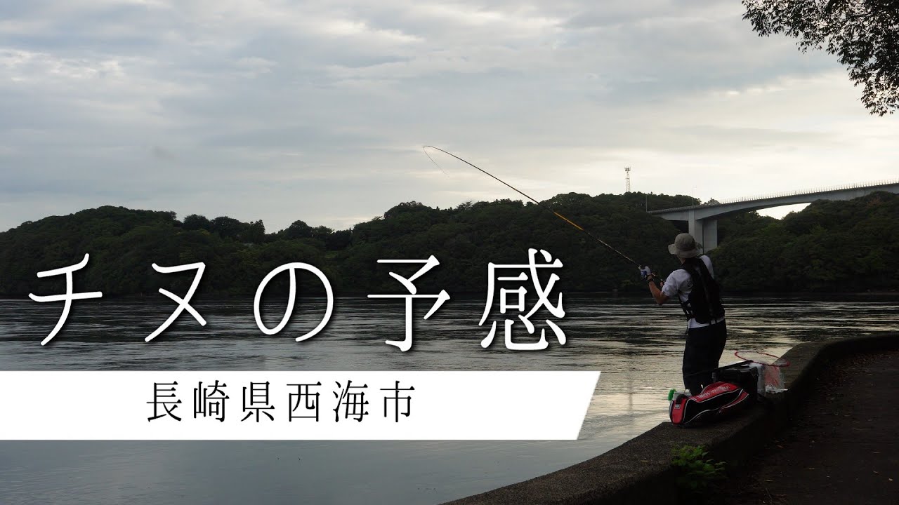 R7.10.15.長崎県西海地区でチヌ豊漁！？