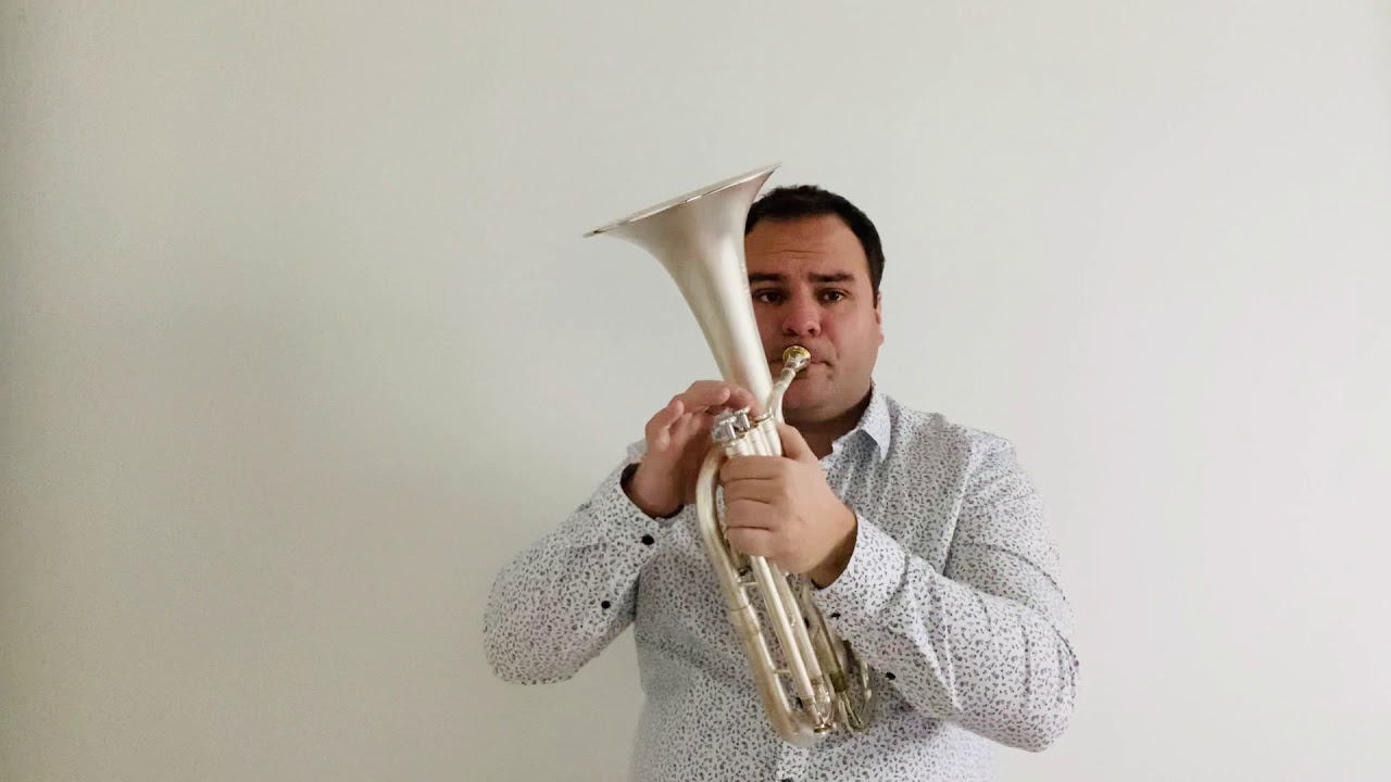 Romanian Folk Dances (Béla Bartók arr. Jack Lythaby) Featuring Anthony Galinier (Tenor Horn)