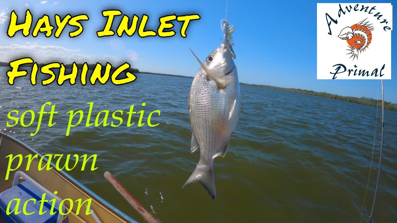 HAYS INLET FISHING soft plastic prawn action