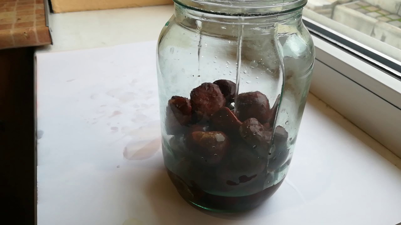 Приготовление настойки каштана в домашних условиях/приготування настоянки каштану в домашніх умовах