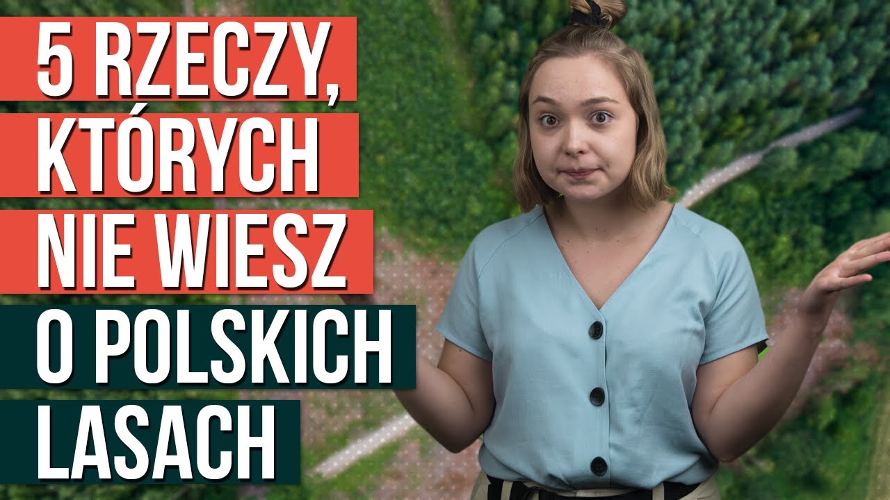 5 rzeczy, których nie wiesz o polskich lasach
