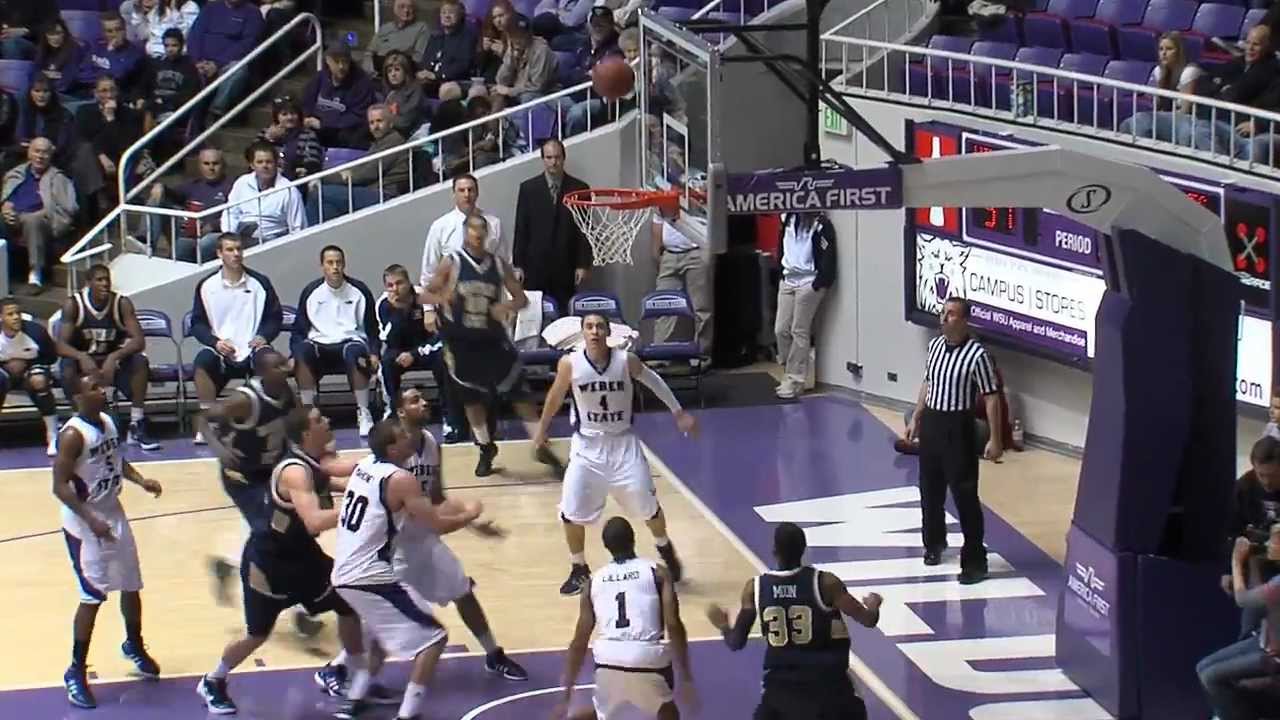 Damian Lillard Highlights ***2011-12 SEASON MIX***