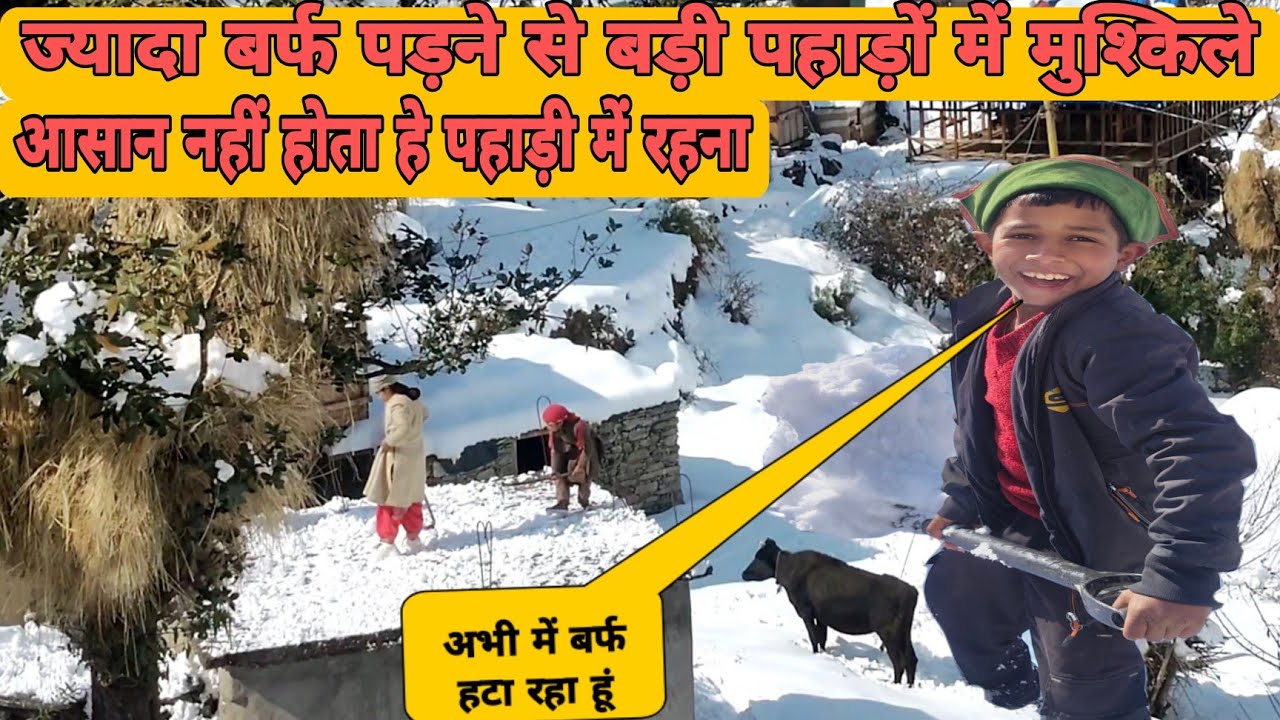 ज्यादा बर्फबारी पड़ने से बड़ी पहाड़ों में मुश्किले| pahadi lifestyle vlog |Pahadi hatke| Mohit Rawat