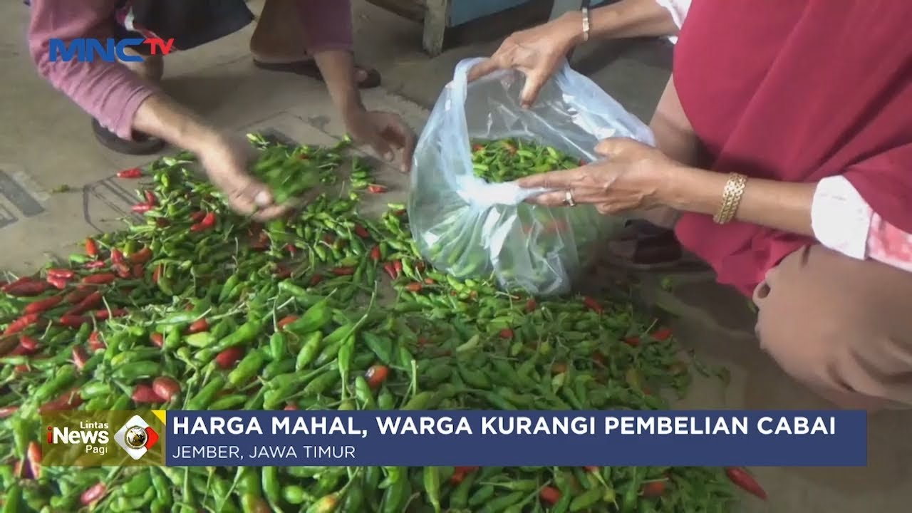 Harga Cabai di Jember, Jatim, Melejit, Naik 100 Persen Lebih - LIP 22/02