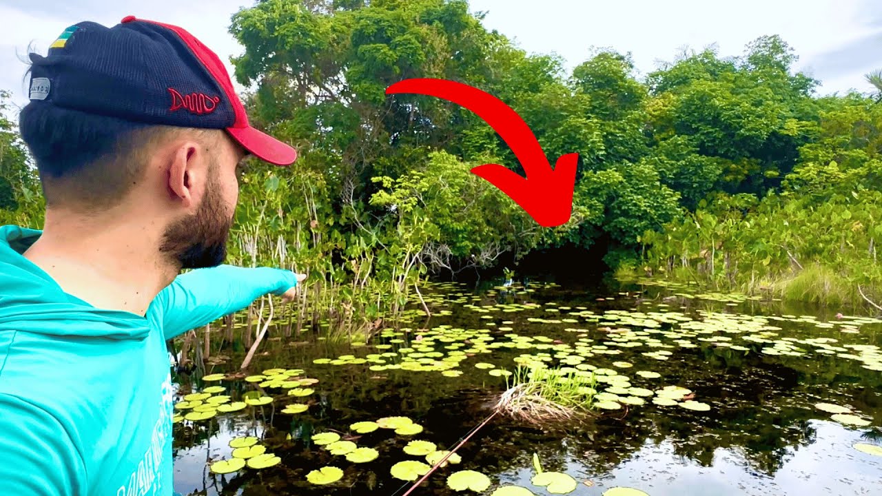 ACHEI O NINHO DO MAIOR PEIXE DE ESCAMA DE ÁGUA DOCE DO MUNDO. Pescaria