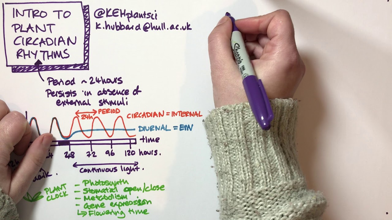 Introduction to plant circadian rhythms