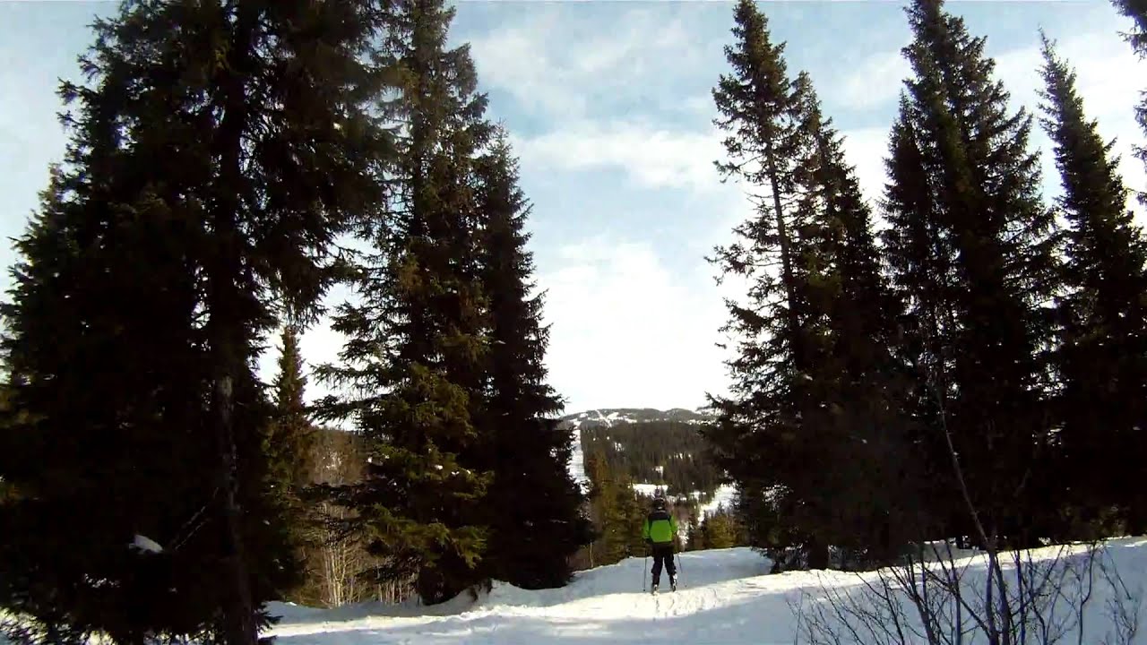 Åre Björnen Skogis 2 (Off_pist) (2011-03-02_0070)