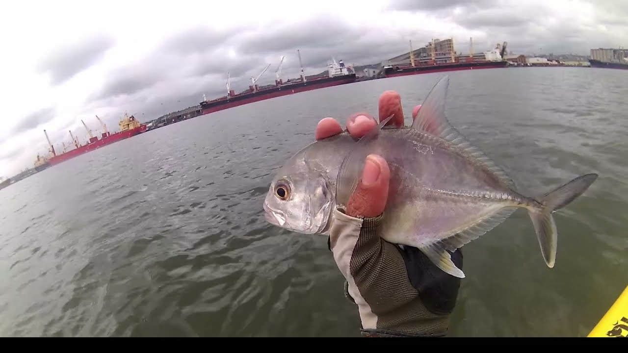 Fly Fishing Durban Harbour_ Temporary Structure in the Middle of Nowhere 02