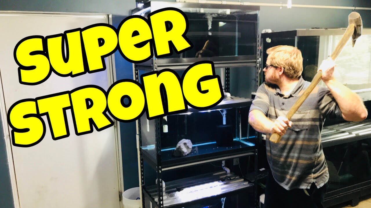 THESE RACKS ARE UNBREAKABLE