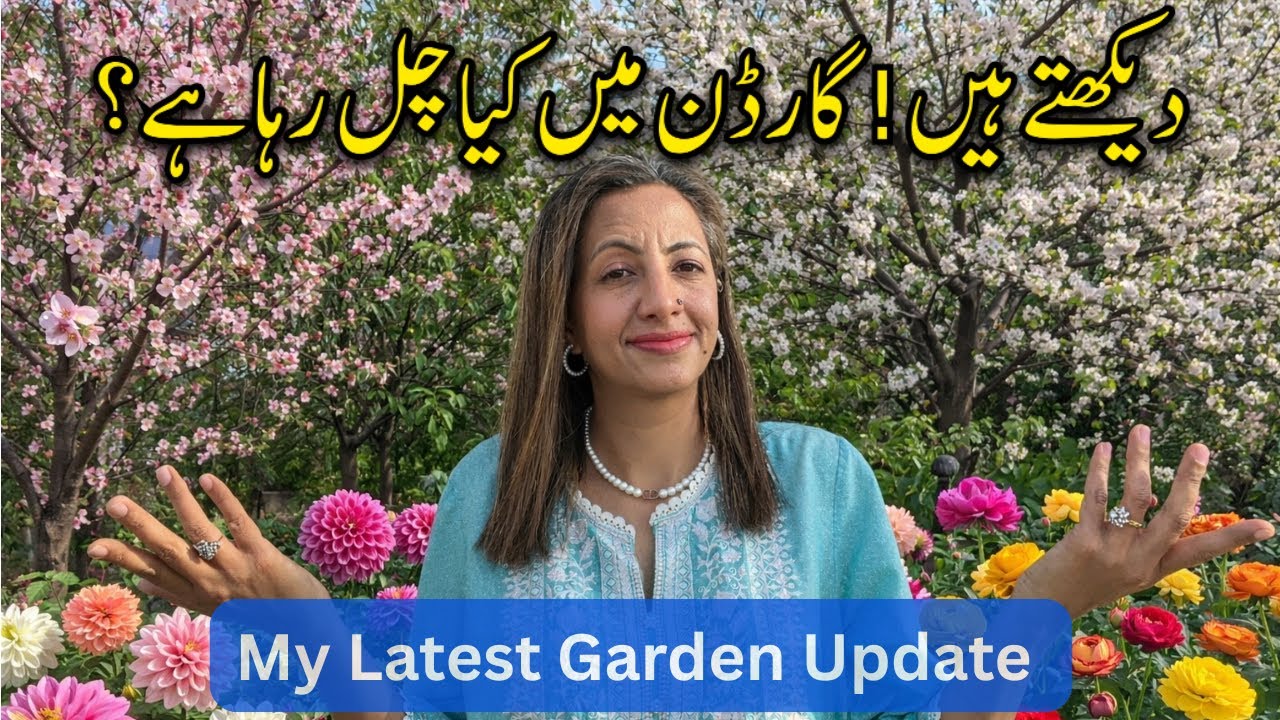  ⛔️ What’s Growing in My Garden Right Now? | Fruit & Flower Garden Overview March 2026