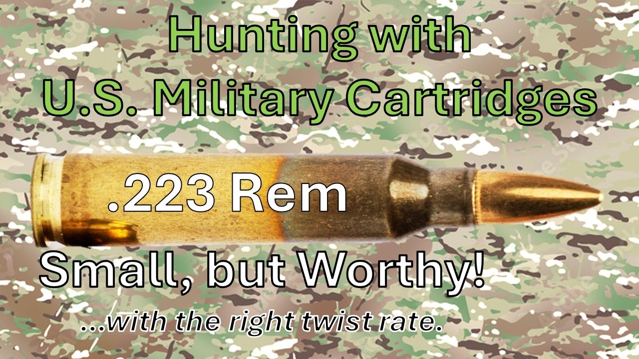 От военной службы до охоты: .223 — это ДОСТОЙНО!