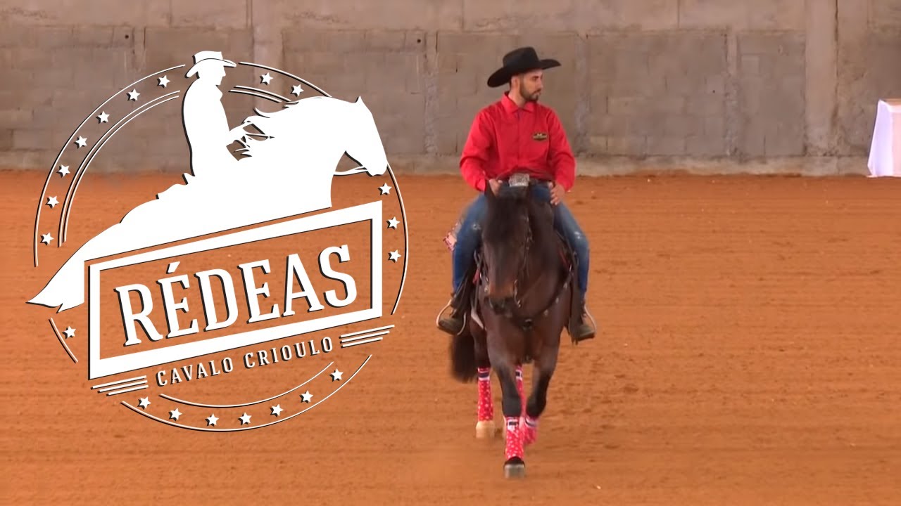 Vichadero Da Quinta - 1º Lugar Iniciante Amador Rédeas de Ouro 2018