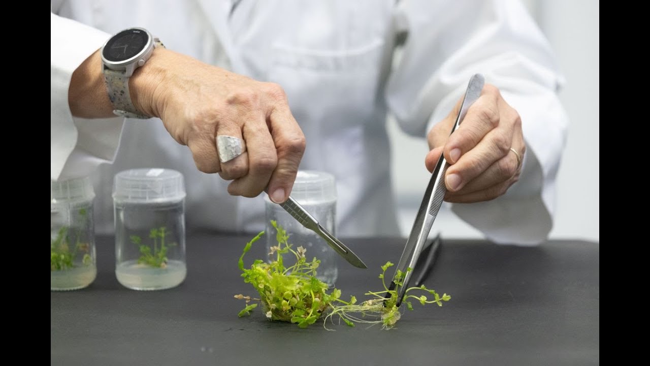 The scientific power of conservation biology