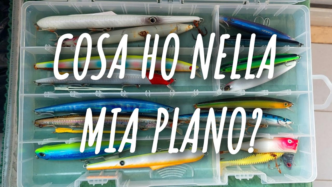 COSA HO NELLA PLANO?