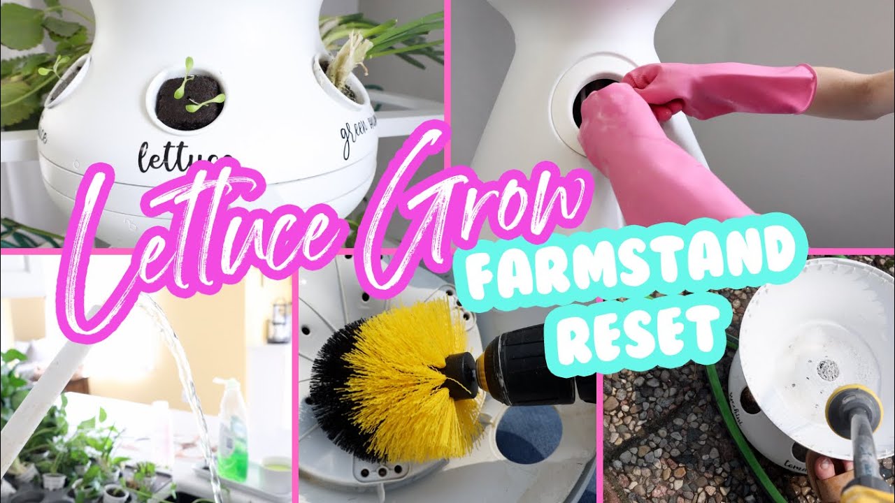 Resetting Your Lettuce Grow Farmstand | Slay At Home Mother