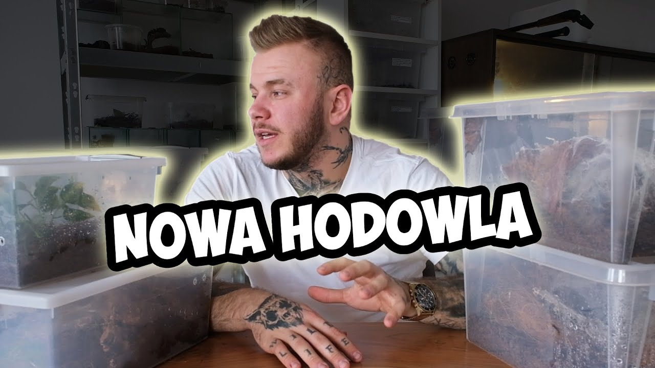 JADUSY W NOWYCH DOMKACH❗️- NOWA HODOWLA‼️