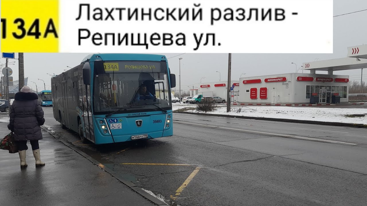 Автобус 134А. Лахтинский разлив - Репищева ул. (трасса изменина)