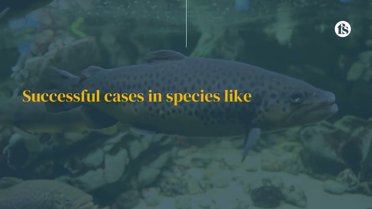 A new frontier for aquatic conservation - The short of it