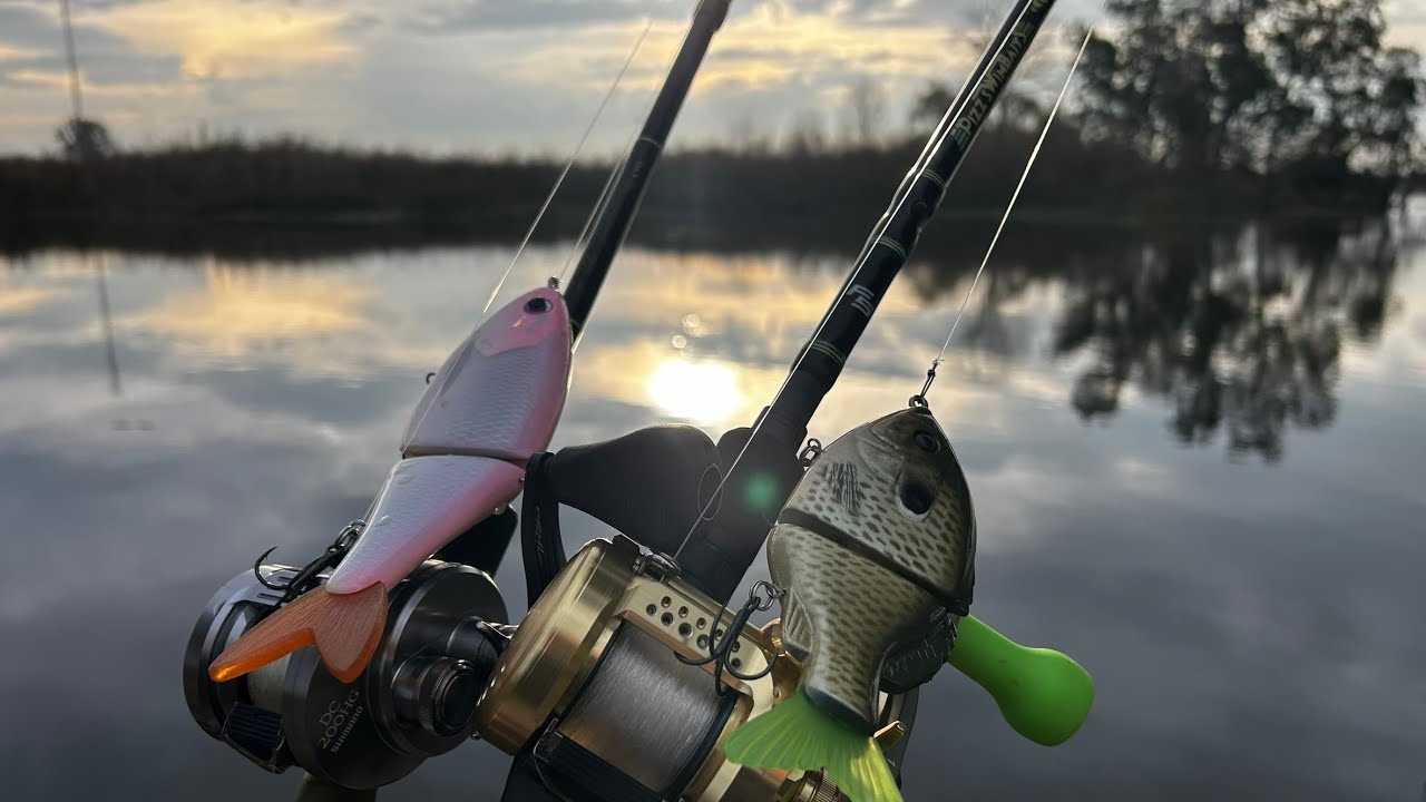 Best Catches of 2025 - Glidebaits, Swimbaits, Finesse, and Conventional Fishing