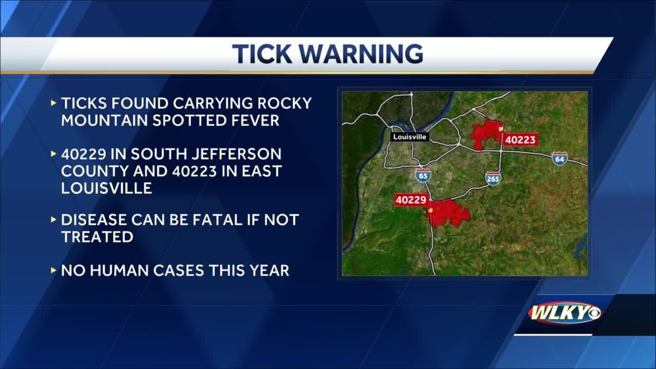 Ticks infected with bacteria that causes Rocky Mountain Spotted Fever found in Louisville