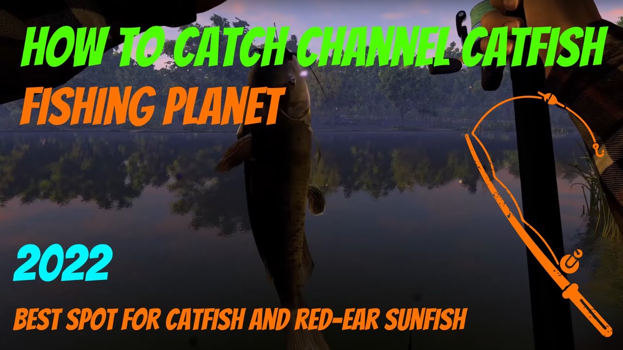How to Catch Channel Catfish in Fishing Planet