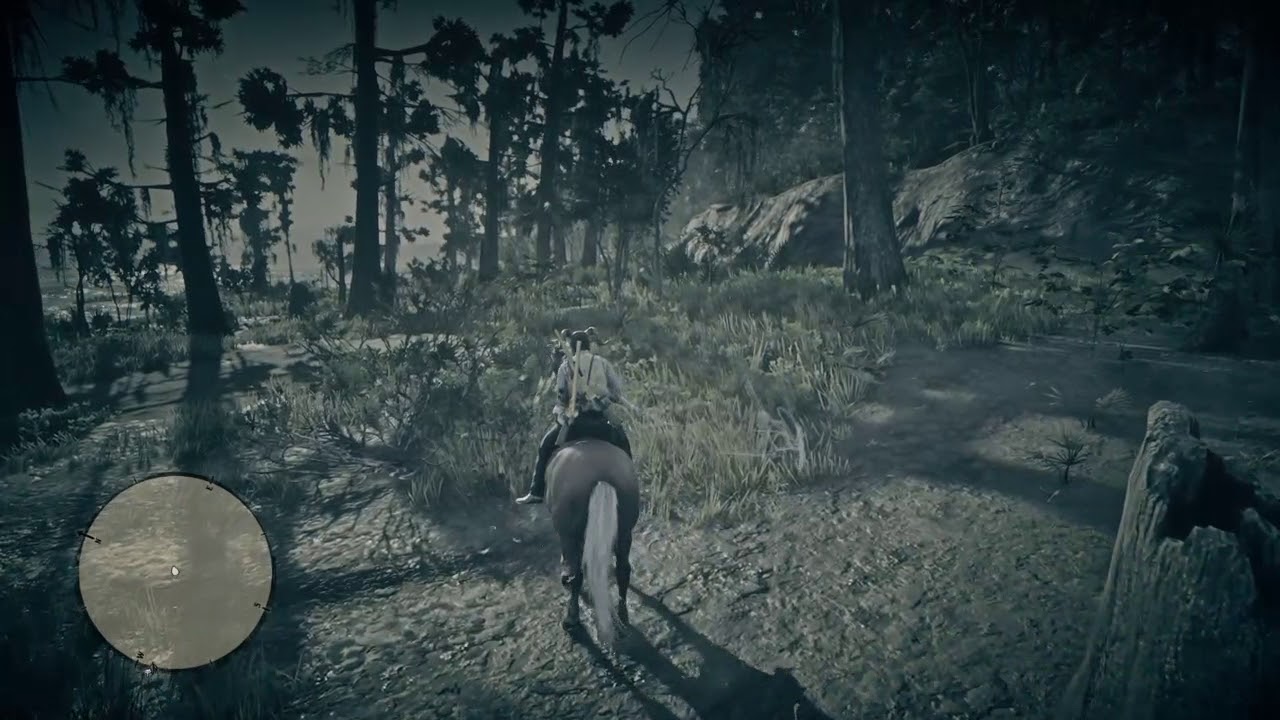 Red Dead Redemption 2_Other side of the LANNAHECHEE River