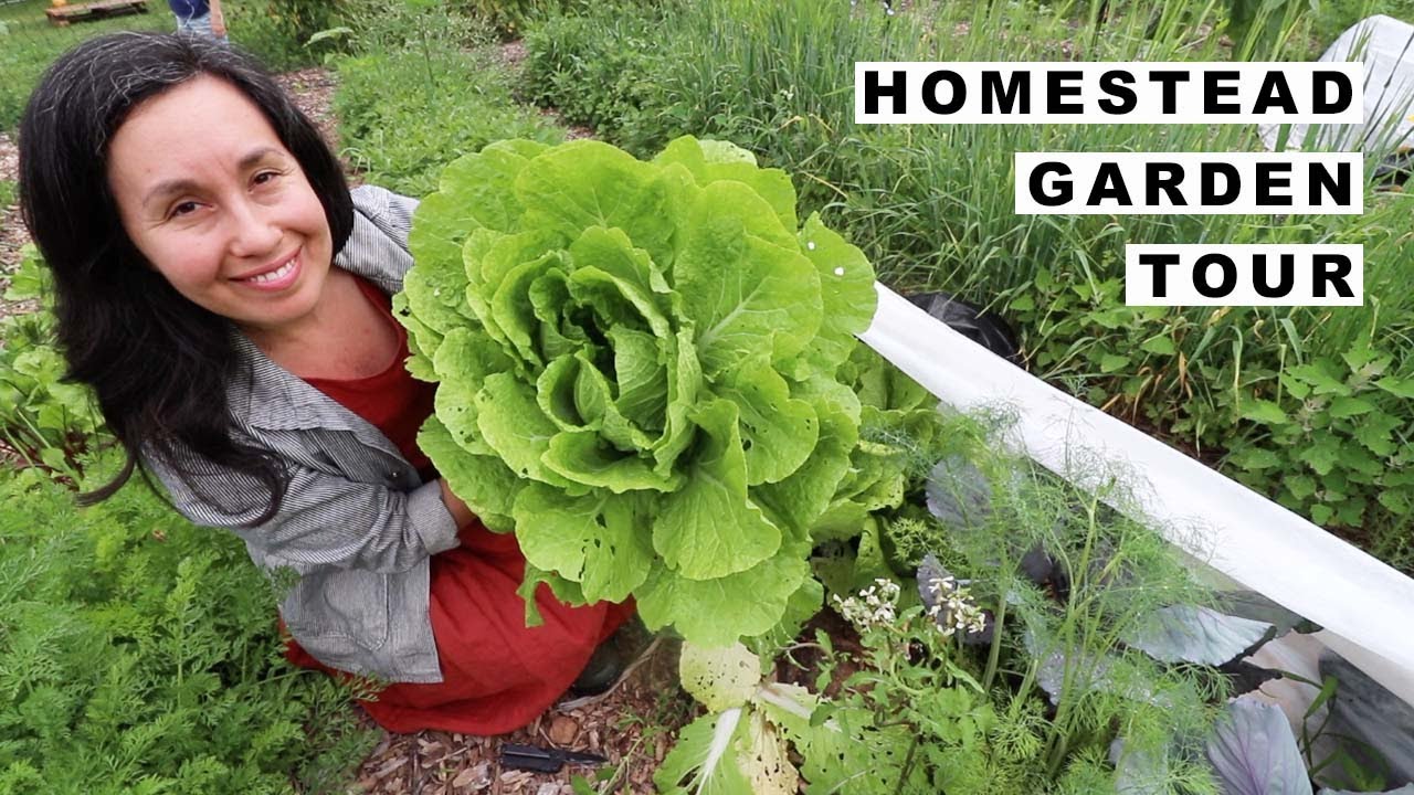 GARDEN TOUR Feeds Small Family of 3