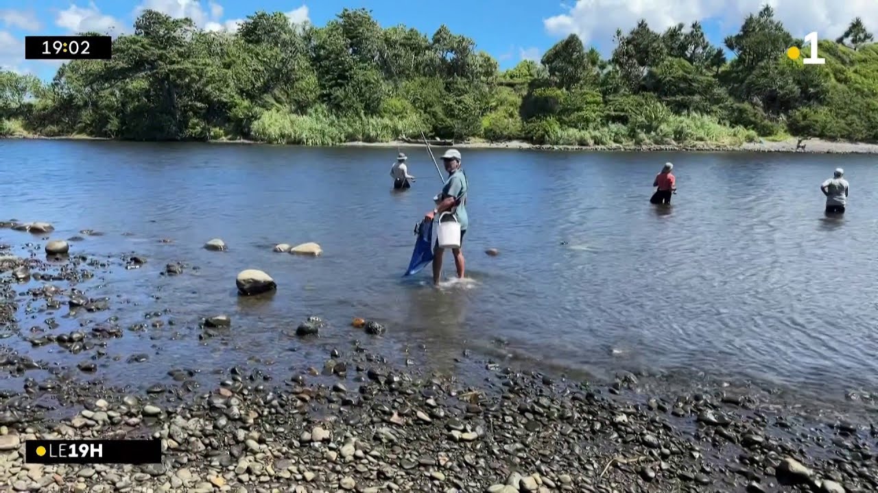 Faut-il étendre la période de pêche des bichiques ?Les pêcheurs réclament une révision du calendrier