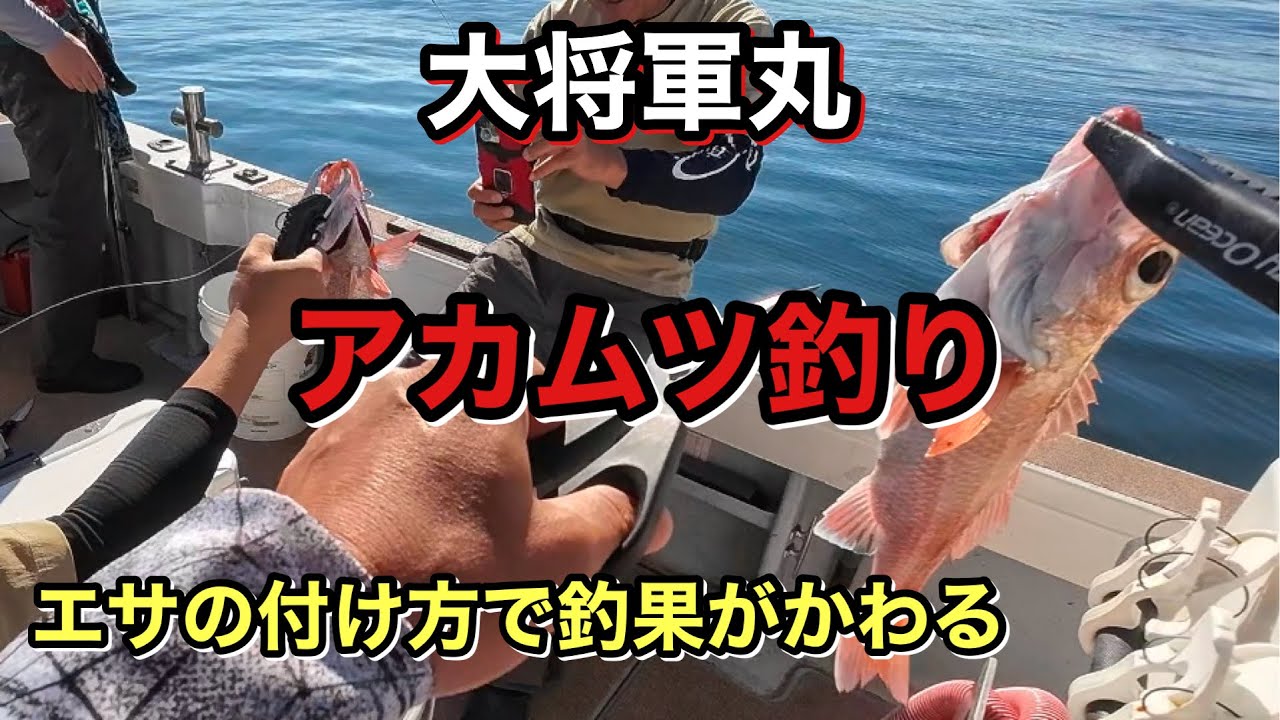 富山湾でアカムツ釣り エサの付け方は重要
