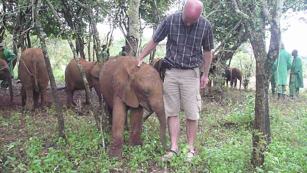 Visiting Kibo one year after